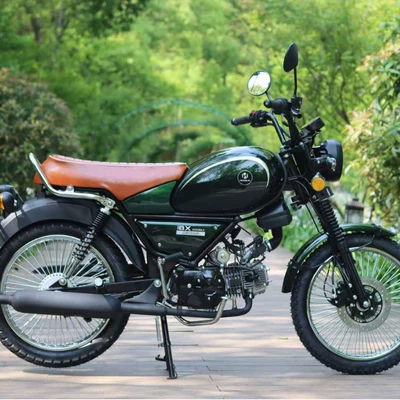 Lightweight, Casual, Retro, Motosikletlər