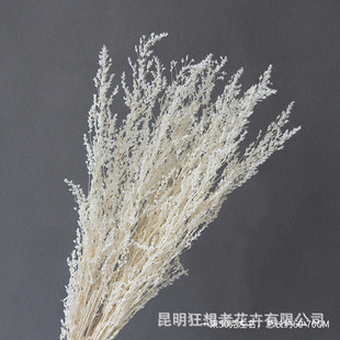 �����ߡ�Ư��ѩ�ݡ��ɻ�����diy�廨ܛ�b�Ҿ���Ȼ�[�Oins�����L