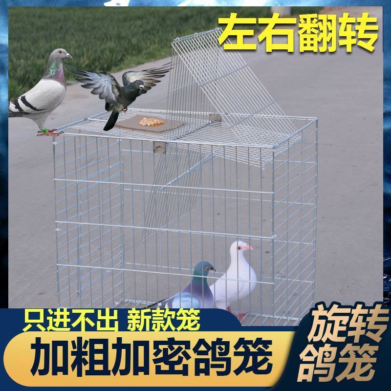 捕鸽神器鸟笼鸽笼养殖厂自动天落笼旋转笼翻板笼镀锌|undefined