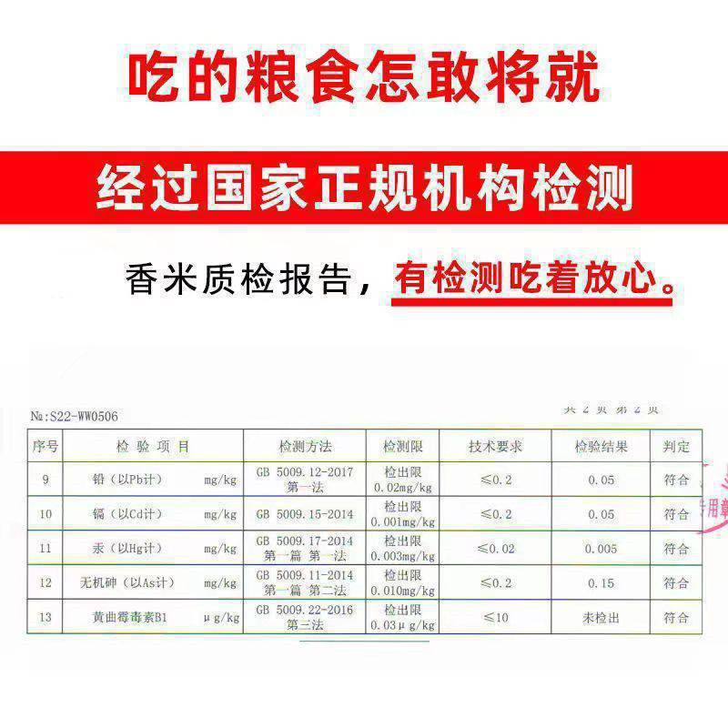 大米新米长粒香象牙香米丝苗米超长猫牙米滋补品小袋便宜商用|undefined