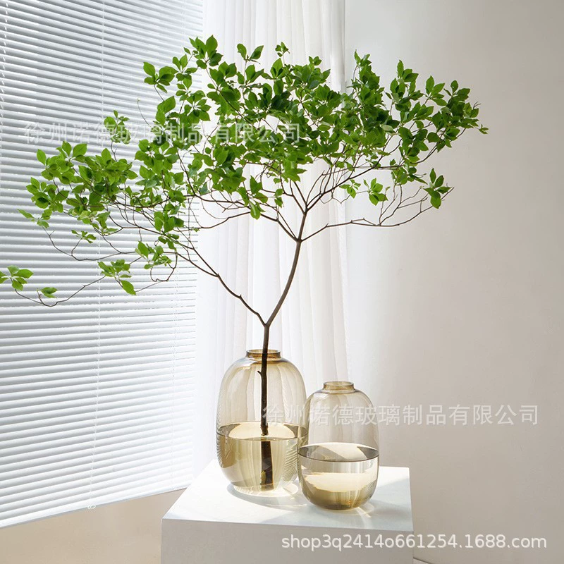 Винтажные вазы ins ветер высокий цвет гидропонные растения сосуды стеклянные вазы высокого класса чувство дома украшения оптом