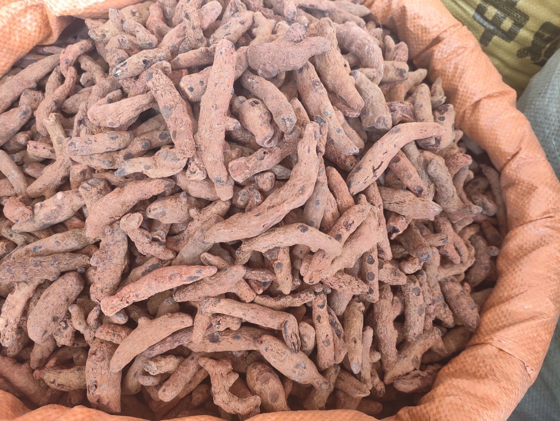 Xue San Qi (Blood Panax) — Dried Herbal Root, 250g Powder-Grade quality and texture