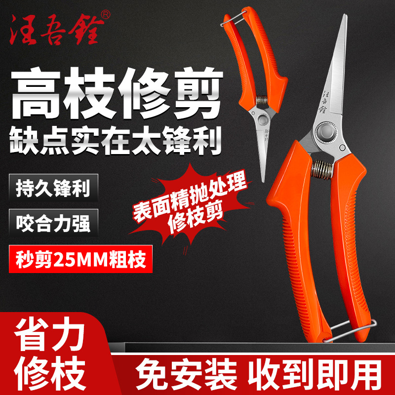 剪枝剪刀园艺剪树枝果树果枝修枝剪花剪园林花艺强力省力粗枝剪子