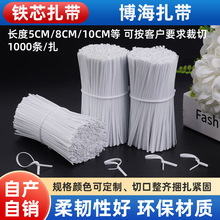 PE包胶扎丝 捆绑数据线材玩具卡纸扎线铁丝包塑扎带软扎丝绑线