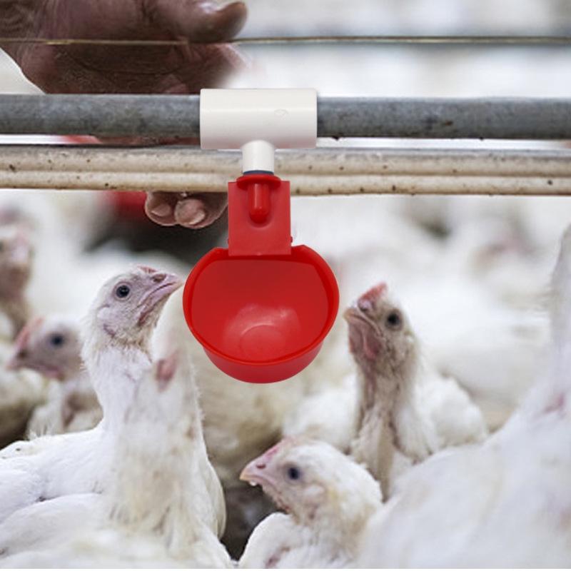 Pollo bebedero nuevo tipo pollo alimentador automático de agua aves de corral tres vías bebedero pollo agua potable equipo de cría de pollo