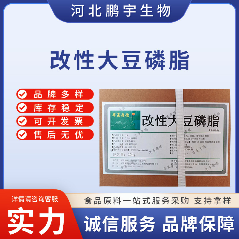 现货供应 改性大豆磷脂粉末食品级乳化普通磷脂/颗粒磷脂糕点