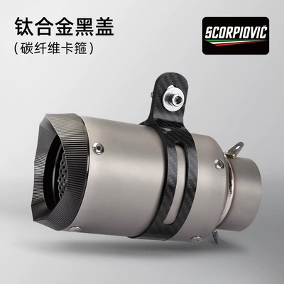 Street universal handmade pipe — Exhaust pipe - ar-titanium-alloy-tip-60mm-diameter-carbon-fiber-clamp