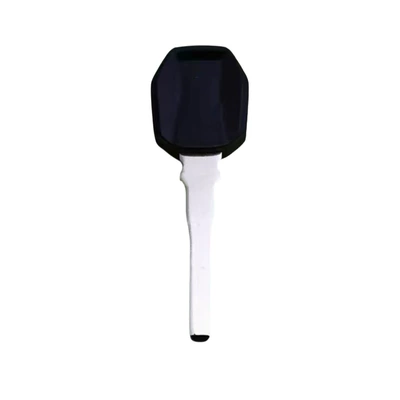 Equipped with a Chip, Motorcycle Key