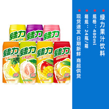 【22年7月】台灣綠力果味飲料檸檬茶芒果葡萄汁多口味480ml*4瓶裝