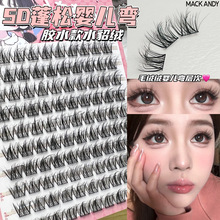 ������ʮ�ő���5Dˮ���q�냺���ٽ�ë�՚���y����Ȼ�����۽�ë��