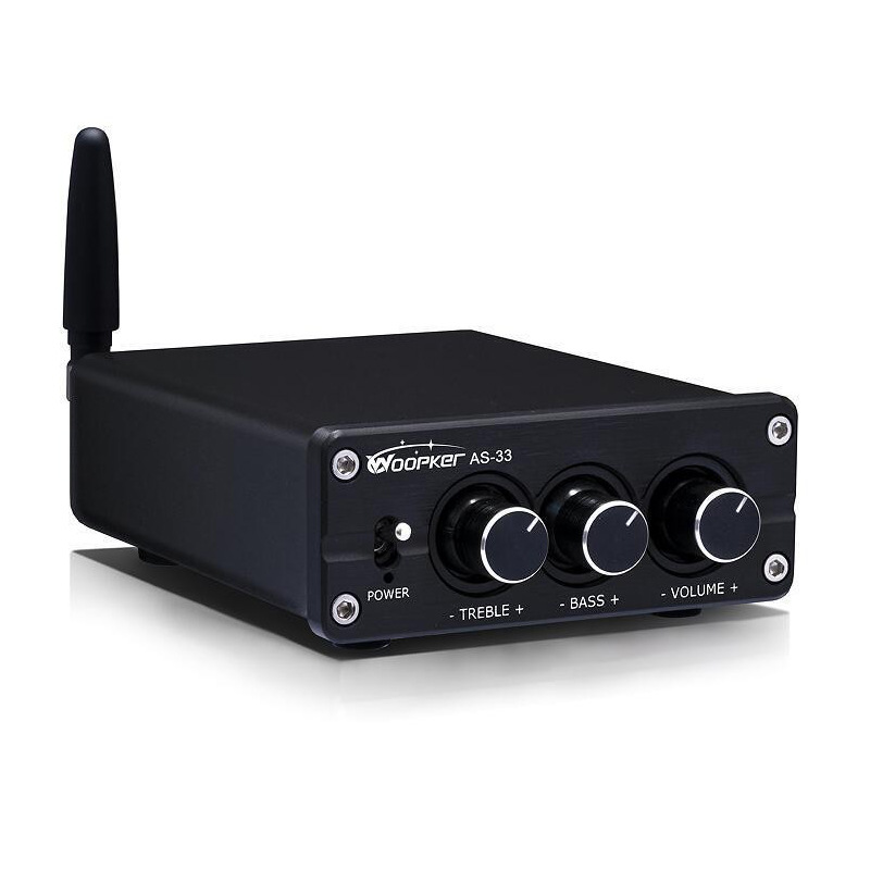 Woopker As-33 New Power Amplifier Pta3116 100W*2 Dual-Channel Bluetooth 5.0 Audio Amplifier