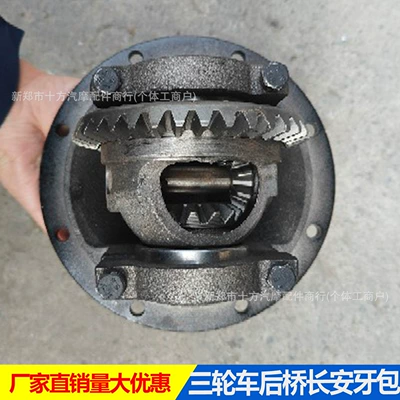 Differential assembly Semi-Floating Rear Differential