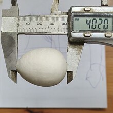 ���|��ˇƷ�����Ɍ��cף��Ʒ�������κ��J�η�������֧�ָ����ߴ�