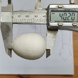 纸质工艺品;圣诞球;其他