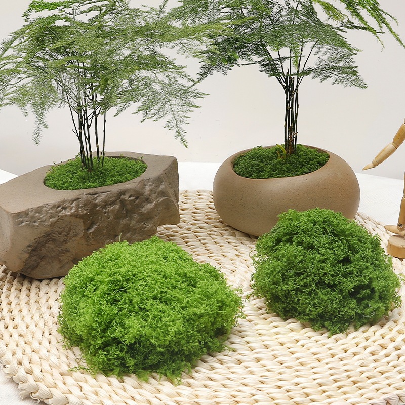 Simulation moss DIY artificial moss lawn gargo green plant decoration landscaping shop surface silk fake moss