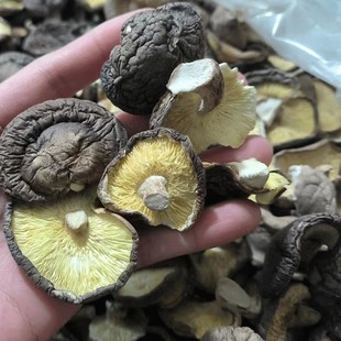 �����㹽��500g ����ֱ�����_�㹽 ���� ����Ϝ��� ���X��