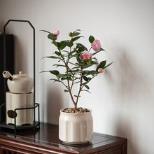 �����軨�҃��̨�k�������������ͺ����܎������l؛���B�Gֲ