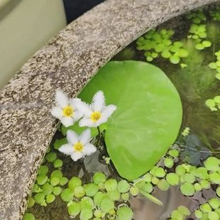 һ�~ɏ�ļ�������ˮ�ϸ�Ƽ��̨�͏d�����ļ����Bˮ��ֲ��ꖹ�