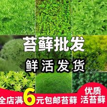 ̦�\΢���^�r��l؛��ֲ̦��F�����r��Gֲ��ƺ�辰�쾰�S�����l