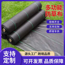 黑色pppe除草布加密加厚农用果园防草布盖草布园艺地布抑草抑草布