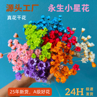 ����С�r��̫ꖻ�����С�ǻ��滨�ɻ��������^DIY��ָ�����ϰ�