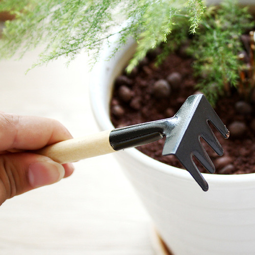 家用多肉植物园艺松土工具套装盆栽种花铲子花锹耙子三件套小铁铲