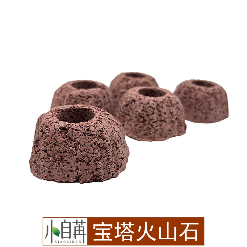 Пагода вулканическая каменная дыра вулканическая скала водная трава фиксированное кольцо