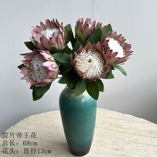 ����������}����������ֲ�q�Pë�E�������߷�����ľ�㲤�}�����W