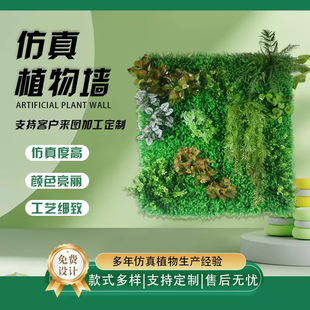 ����Gֲ�����w�Gֲ����ƺ���汳�����b��̨�������������