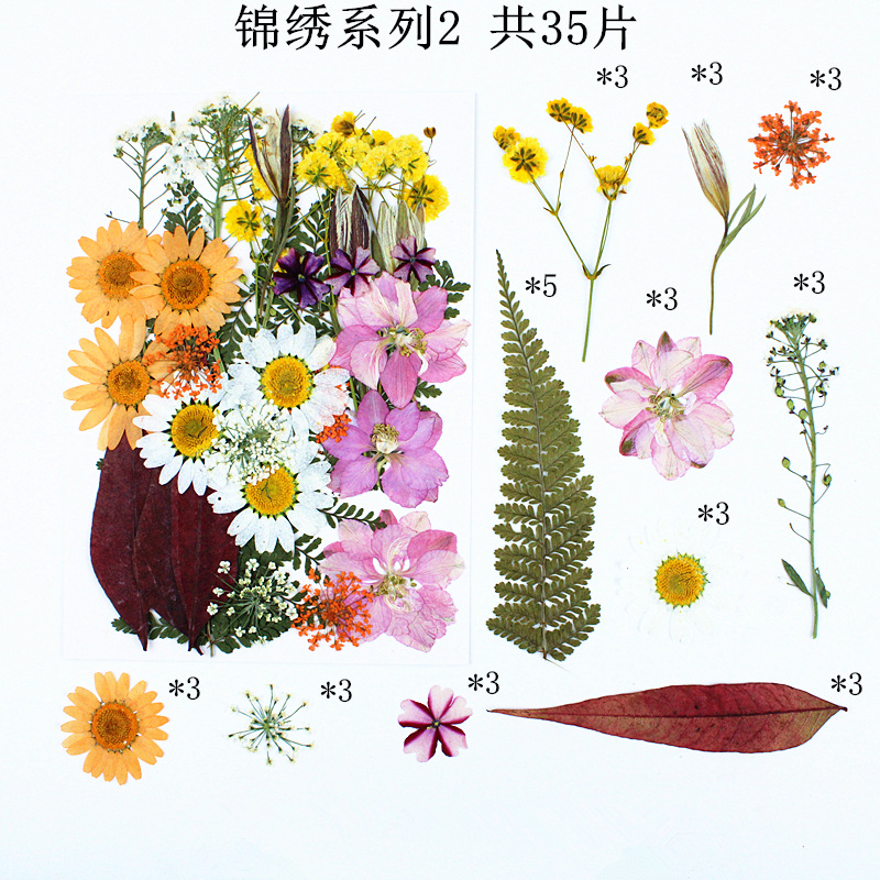 화려한 시리즈 조합 2