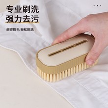塑料板刷多功能衣刷洗衣刷鞋不伤衣物清洁刷家用多色刷子百货批发
