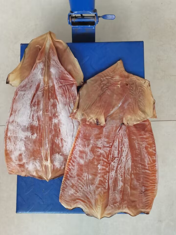 QQ图片20230627130025