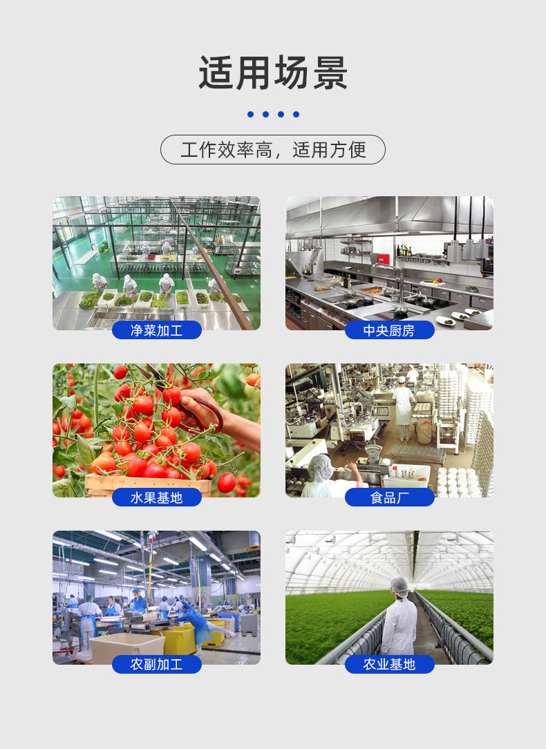 芒果打漿機(jī)_09