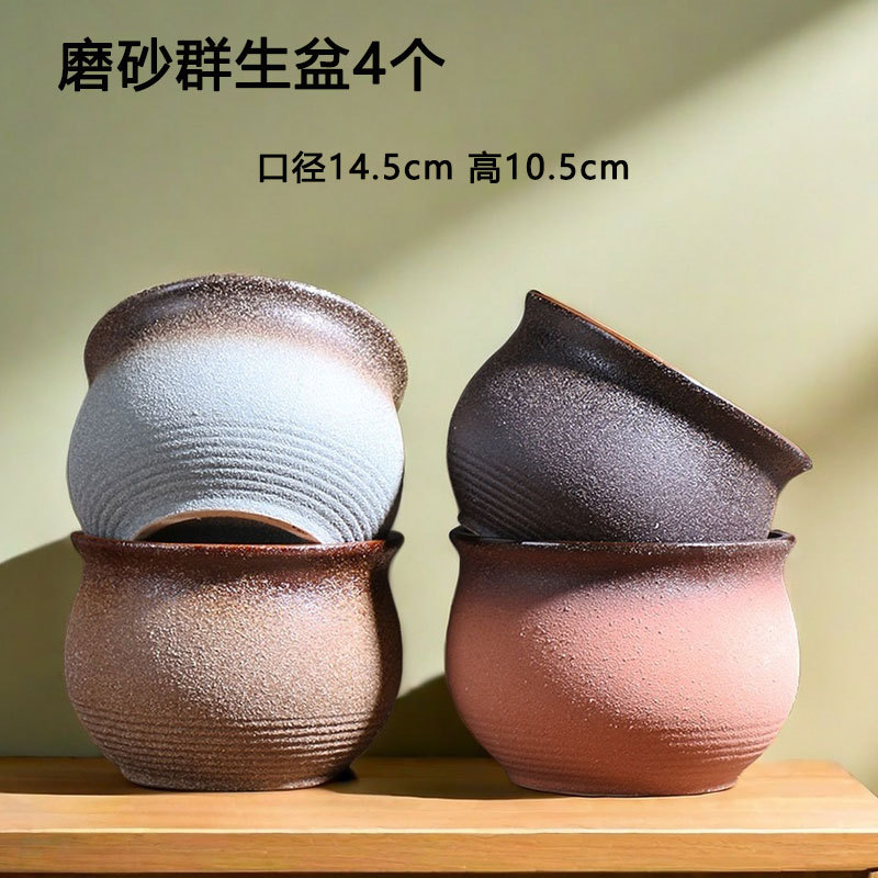 Macetas carnosas de grupo grandes y pequeñas esmeriladas, plantas verdes en macetas, ollas especiales de cerámica de carne doméstica, venta directa de fábrica al por mayor
