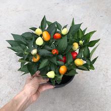 ������ֱ����140#�Ӂ���ʽ��^�p�����ļ����������^���Gֲ