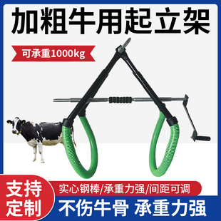 �羳����ţ��������ţ��ţ��������Ʒ�o��������ţ�õ����Bֳ��