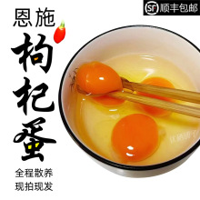 湖北恩施枸杞鸡蛋农家正宗散养新鲜土鸡蛋小孩子学生早餐营养蛋30
