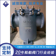 船用滤器 筒型滤器 日标船用海水滤器 铸铁海水滤器JISF7121