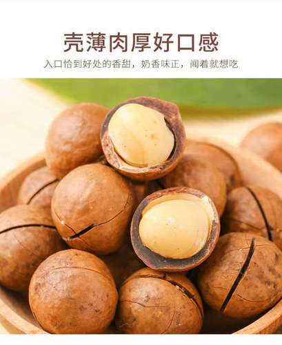 Xinjiang specialty large-grained macadamia nuts come with opener, milk-flavored macadamia nuts, nut snacks