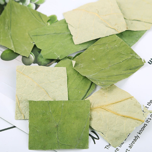 Wholesale factory supply Shandong Weishan Lake dried lotus leaf tea, bulk new square lotus leaf pieces, herbal tea, quantity discount