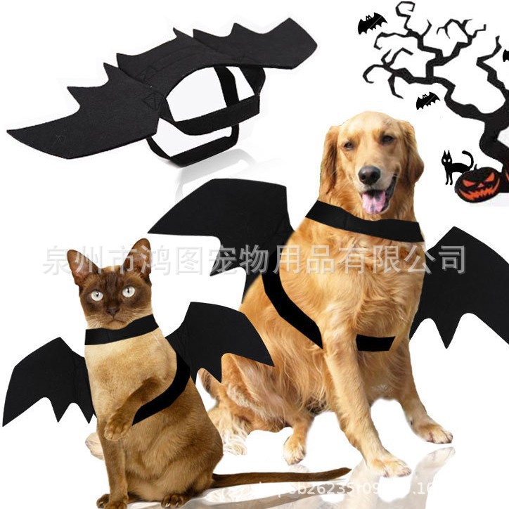 아마존의 새로운 국경 간 고양이 할로윈 개 애완 동물 옷 검은 박쥐 하네스 날개 장식 재미 있은