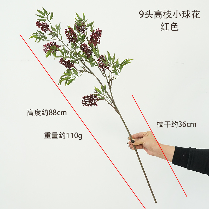 9개의 높은 가지 작은 공 꽃 - 붉은 과일