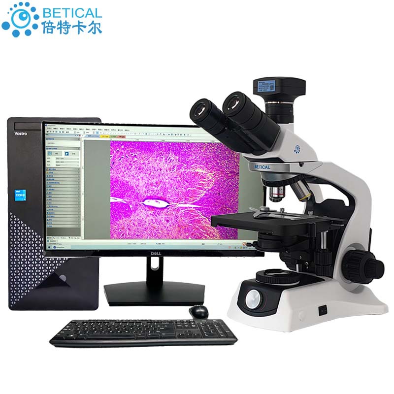三目生物显微镜310~1200万像素USB3.0输出显微镜相机