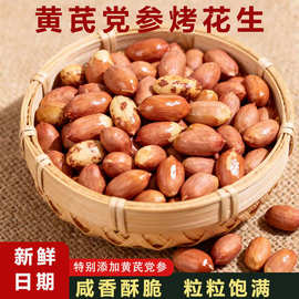 黄芪党参烤花生开袋即食炒货脱油花生米无壳酥脆小包装批发代发