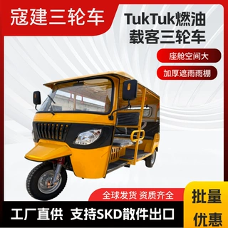 定制TUK-tuk 跨境出口景区观光嘟嘟燃油三轮车非洲出口载客代步车