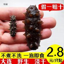 大连淡干散装海参干货500g迷你小辽参刺参速发海参滋补海生即食海