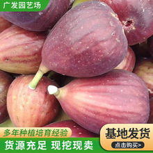 ɽ�|�����t�o���������� �ϱ�������Y�� ռ��1-5���֟o������