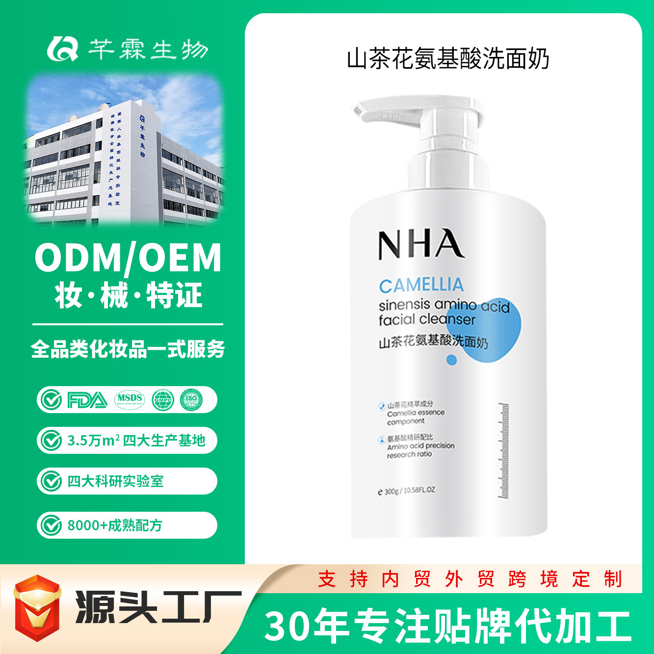 Camellia Flower Gentle Oil Control Facial Cleanser Oem Amino Acid Large Bottle Cleansing and Makeup Removal All-In-One Cleanser Oem Processing