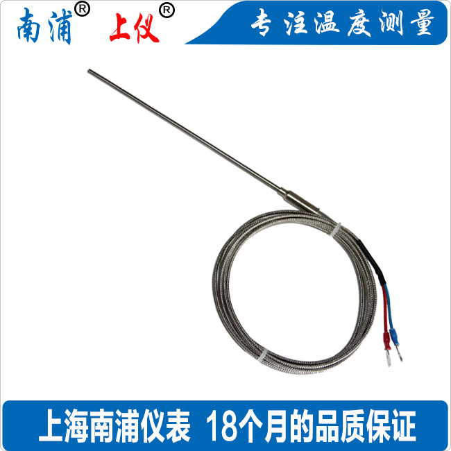 上海南浦仪表 J型铠装WRJK-191带补偿导线式热电偶