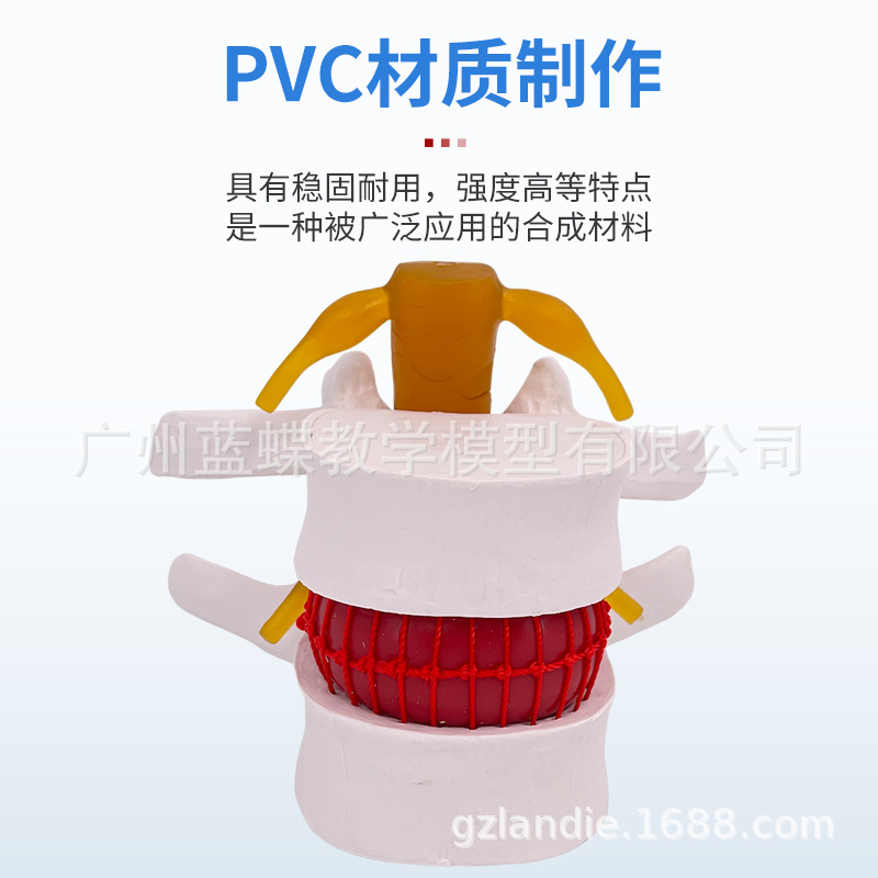 ��׵�Ŵ���׵������ѹ��ʾģ�����弹����׵�ǲ�����ʾ�ؽ�ҽѧ��